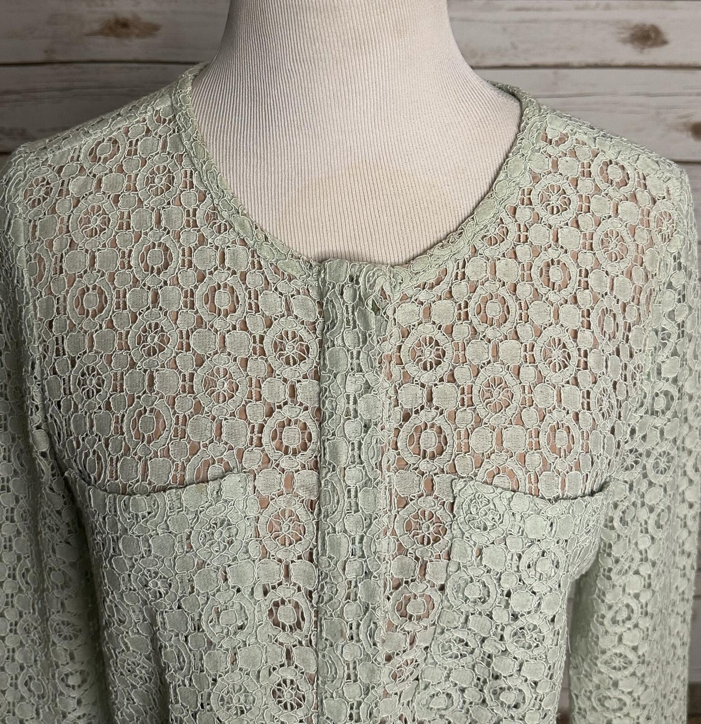 Victoria Beckham for Target mint green cotton-blend lace long sleeve dress Large